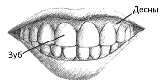 big teeth