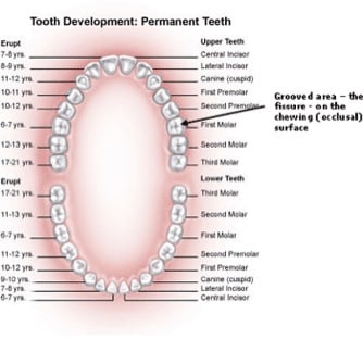 Dental Sealants